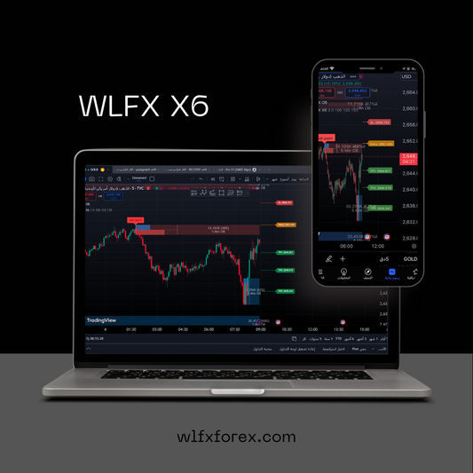 WLFX X6